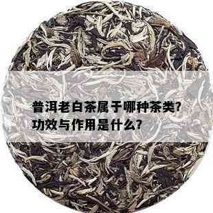 普洱老白茶属于哪种茶类？功效与作用是什么？