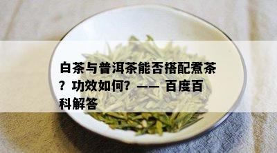 白茶与普洱茶能否搭配煮茶？功效如何？—— 百度百科解答