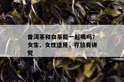 普洱茶和白茶能一起喝吗？女生、女性适用，存放有讲究