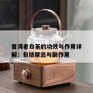 普洱老白茶的功效与作用详解：包括禁忌与副作用