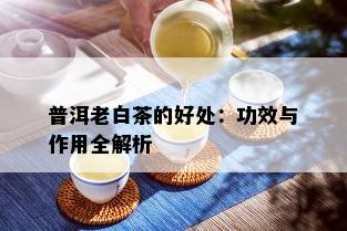 普洱老白茶的好处：功效与作用全解析