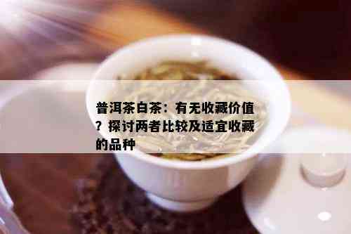 普洱茶白茶：有无收藏价值？探讨两者比较及适宜收藏的品种