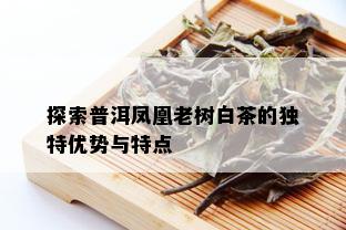 探索普洱凤凰老树白茶的独特优势与特点