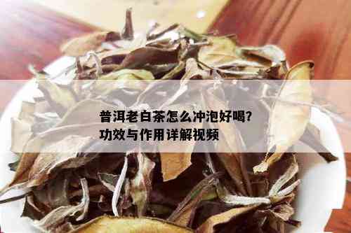 普洱老白茶怎么冲泡好喝？功效与作用详解视频