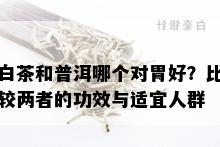 白茶和普洱哪个对胃好？比较两者的功效与适宜人群