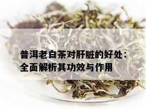 普洱老白茶对肝脏的好处：全面解析其功效与作用