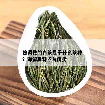 普洱做的白茶属于什么茶种？详解其特点与优劣