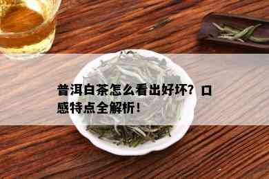 普洱白茶怎么看出好坏？口感特点全解析！