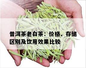 普洱茶老白茶：价格、存储区别及饮用效果比较