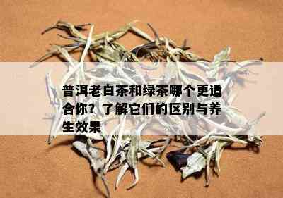 普洱老白茶和绿茶哪个更适合你？了解它们的区别与养生效果