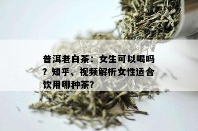 普洱老白茶：女生可以喝吗？知乎、视频解析女性适合饮用哪种茶？