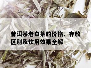 普洱茶老白茶的价格、存放区别及饮用效果全解