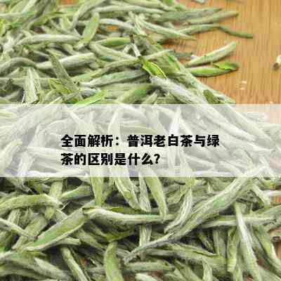 全面解析：普洱老白茶与绿茶的区别是什么？