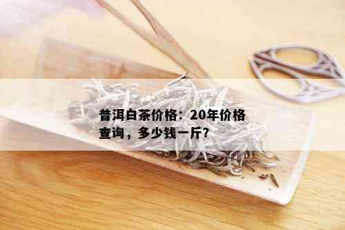 普洱白茶价格：20年价格查询，多少钱一斤？