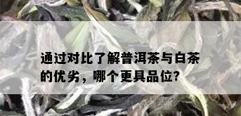 通过对比了解普洱茶与白茶的优劣，哪个更具品位?