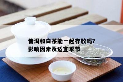 普洱和白茶能一起存放吗？影响因素及适宜季节