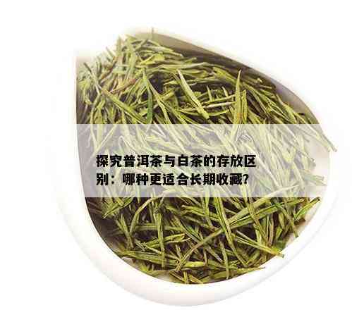 探究普洱茶与白茶的存放区别：哪种更适合长期收藏？