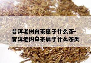 普洱老树白茶属于什么茶-普洱老树白茶属于什么茶类