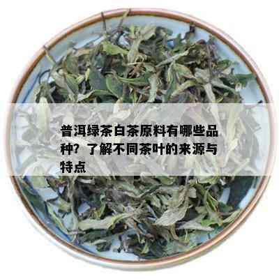 普洱绿茶白茶原料有哪些品种？了解不同茶叶的来源与特点