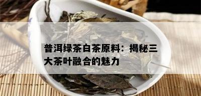 普洱绿茶白茶原料：揭秘三大茶叶融合的魅力