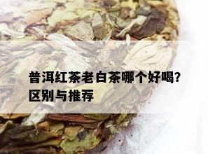 普洱红茶老白茶哪个好喝？区别与推荐