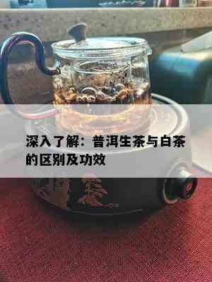 深入了解：普洱生茶与白茶的区别及功效