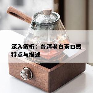 深入解析：普洱老白茶口感特点与描述