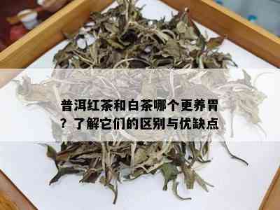 普洱红茶和白茶哪个更养胃？了解它们的区别与优缺点