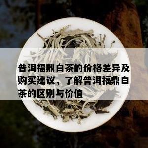 普洱福鼎白茶的价格差异及购买建议，了解普洱福鼎白茶的区别与价值