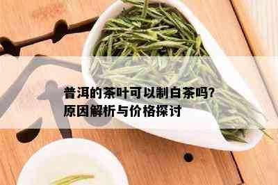 普洱的茶叶可以制白茶吗？原因解析与价格探讨