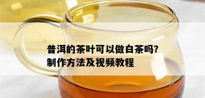 普洱的茶叶可以做白茶吗？制作方法及视频教程