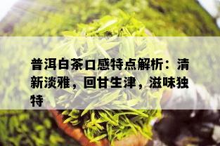 普洱白茶口感特点解析：清新淡雅，回甘生津，滋味独特