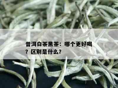 普洱白茶黑茶：哪个更好喝？区别是什么？