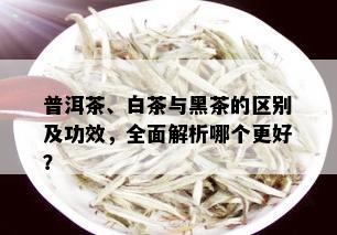 普洱茶、白茶与黑茶的区别及功效，全面解析哪个更好？