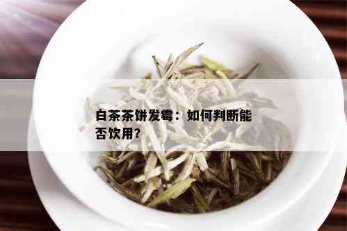 白茶茶饼发霉：如何判断能否饮用？