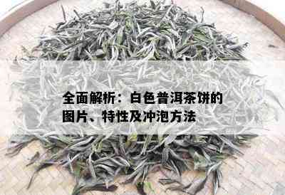 全面解析：白色普洱茶饼的图片、特性及冲泡方法