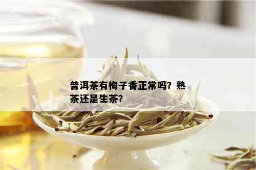 普洱茶有梅子香正常吗？熟茶还是生茶？