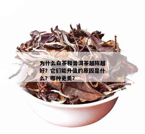 为什么白茶和普洱茶越陈越好？它们能升值的原因是什么？哪种更贵？