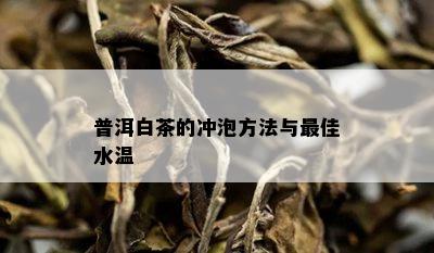 普洱白茶的冲泡方法与更佳水温