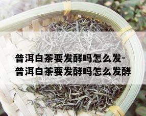 普洱白茶要发酵吗怎么发-普洱白茶要发酵吗怎么发酵