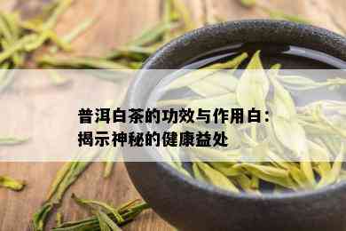 普洱白茶的功效与作用白：揭示神秘的健康益处