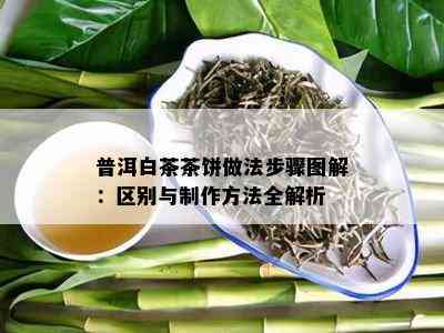 普洱白茶茶饼做法步骤图解：区别与制作方法全解析