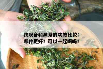 铁观音和黑茶的功效比较：哪种更好？可以一起喝吗？