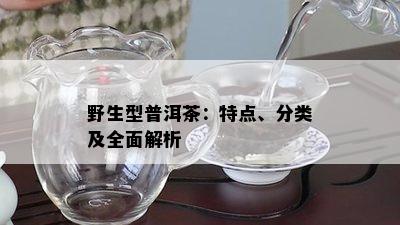 野生型普洱茶：特点、分类及全面解析