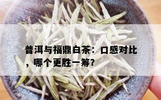 普洱与福鼎白茶：口感对比，哪个更胜一筹？