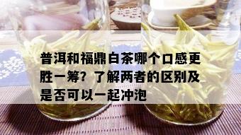 普洱和福鼎白茶哪个口感更胜一筹？了解两者的区别及是否可以一起冲泡