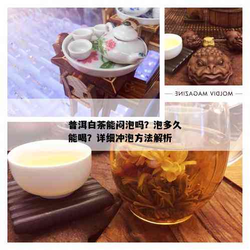 普洱白茶能闷泡吗？泡多久能喝？详细冲泡方法解析