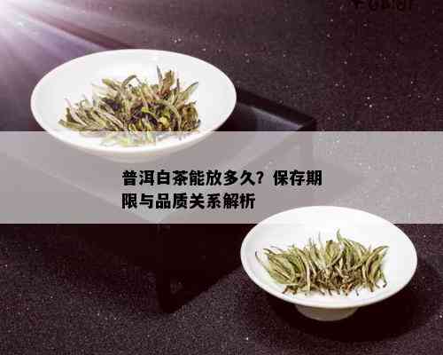 普洱白茶能放多久？保存期限与品质关系解析