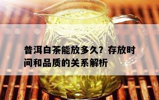 普洱白茶能放多久？存放时间和品质的关系解析