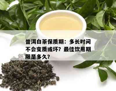 普洱白茶保质期：多长时间不会变质或坏？更佳饮用期限是多久？